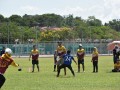 Tn dsc 1155